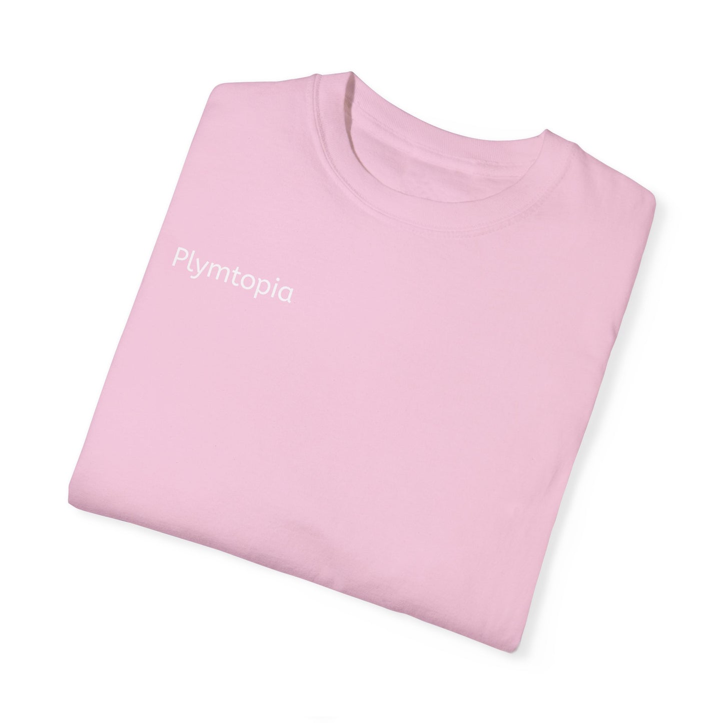 Plymtopia's "Hot girl Summer" T-Shirt