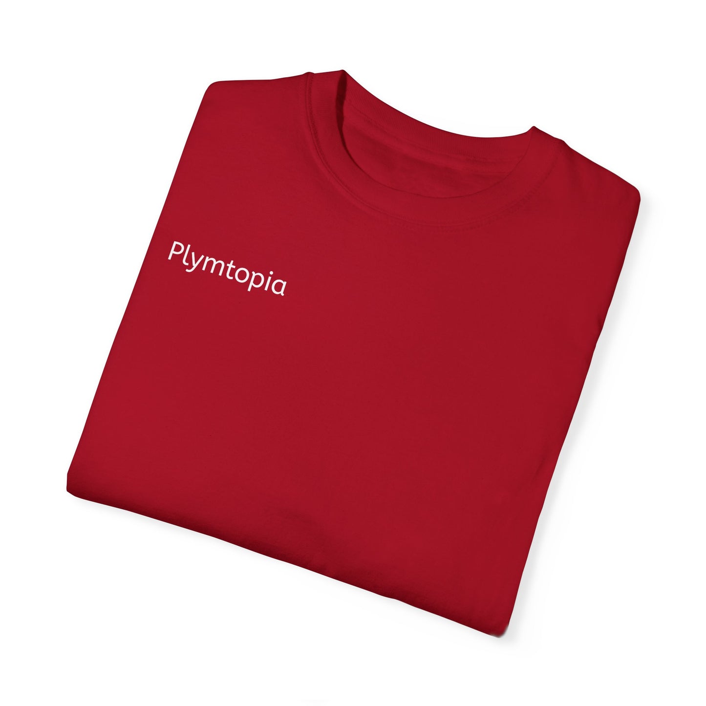 Plymtopia's "Hot girl Summer" T-Shirt