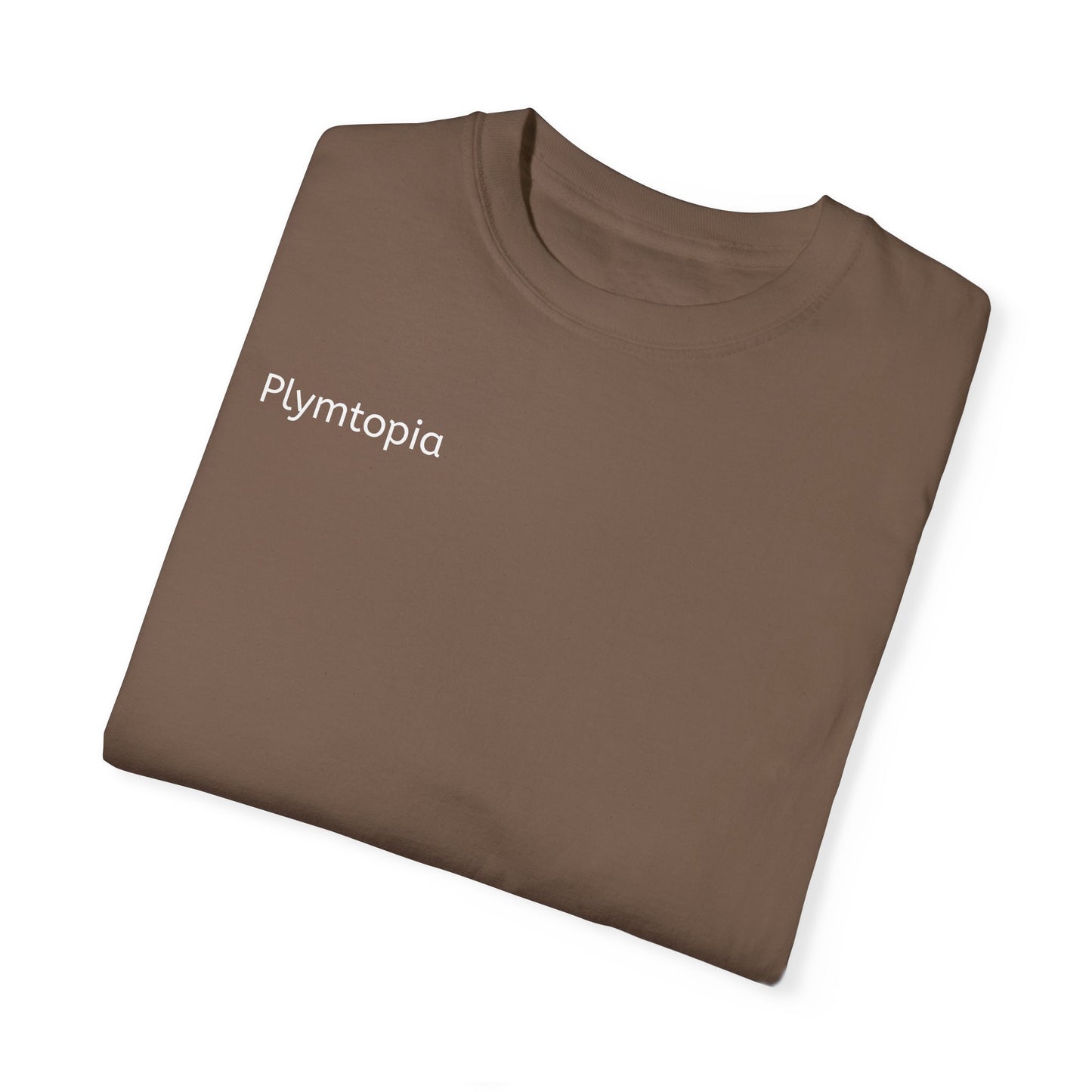 Plymtopia's "Hot girl Summer" T-Shirt