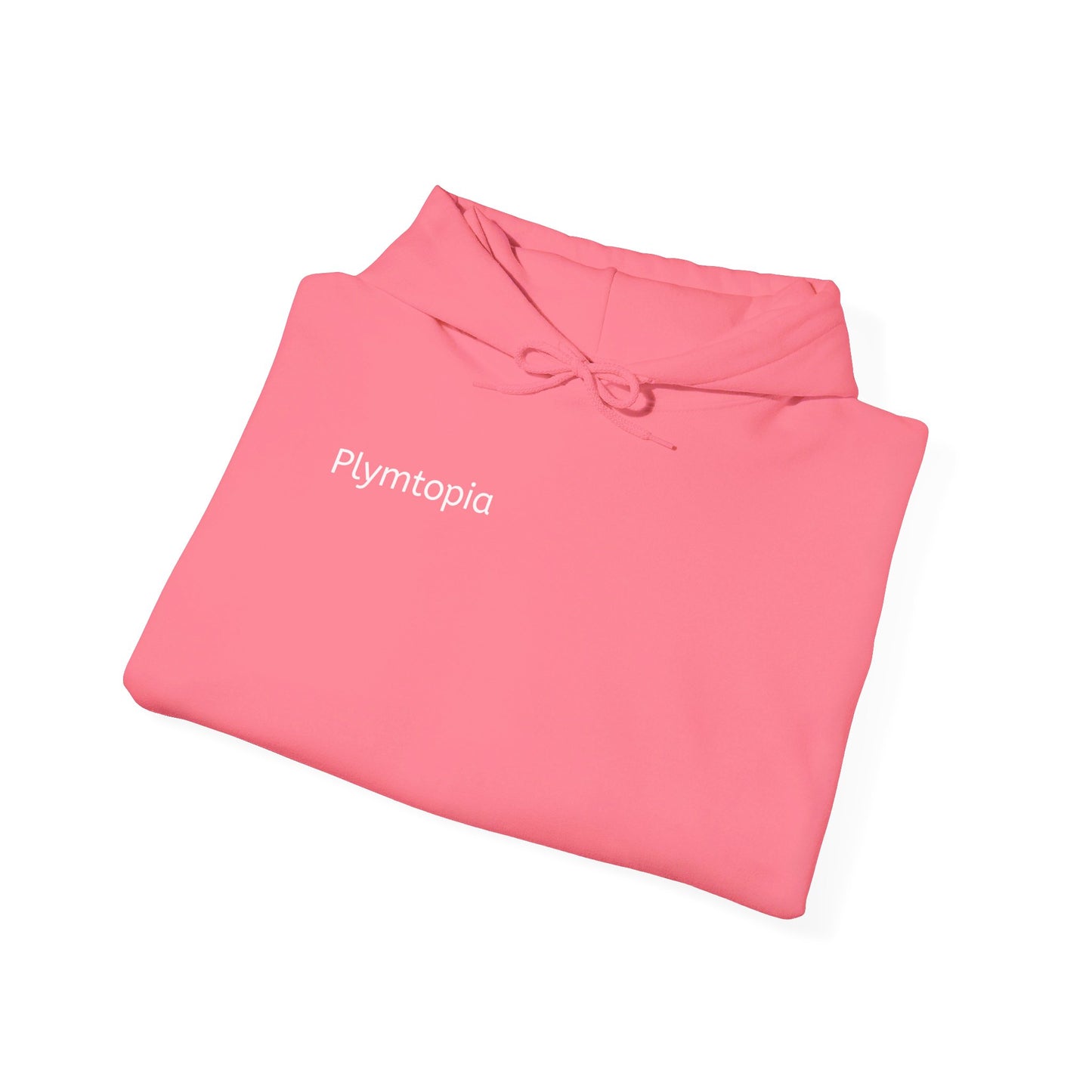 Plymtopia's "Hot Girl Summer" Hoodie