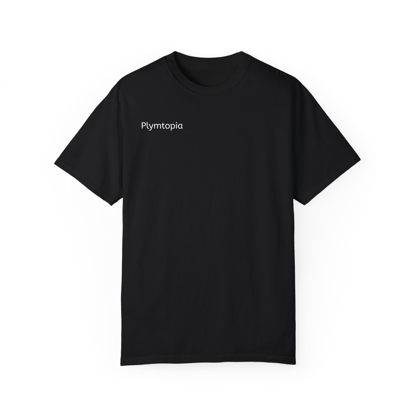 Plymtopia's "Hot girl Summer" T-Shirt