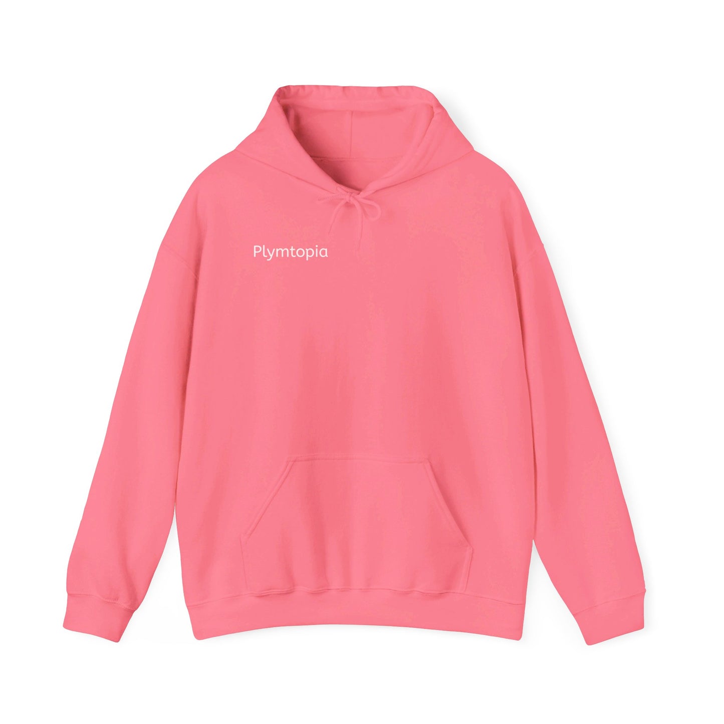 Plymtopia's "Hot Girl Summer" Hoodie