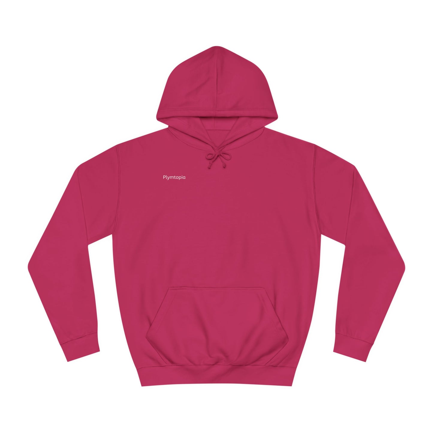 Plymtopia's: Classic Logo Hoodie